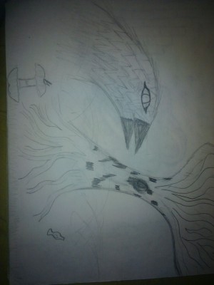 Sketch