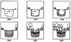 pondsuccession
