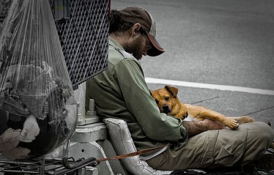 homeless-dog-9