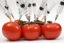 genetically-modified-food-tomatoes-syringes-photo