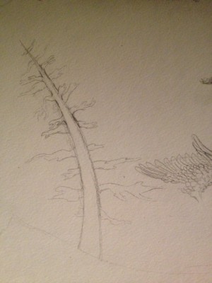 image copy 3
