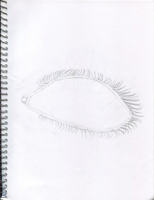 Scan 6