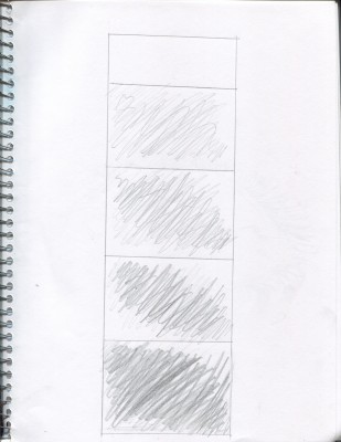 Scan 5