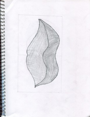 Scan 9
