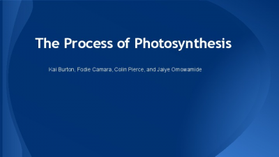Photosynthesis Lesson