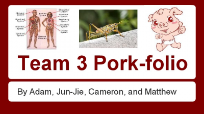 Pork-folio Q2
