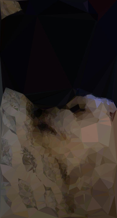 Low Poly Art of a picture of my dog, Cooper, sleeping on my bed in my room.