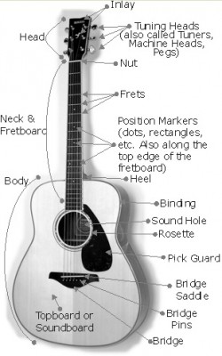 new guitar