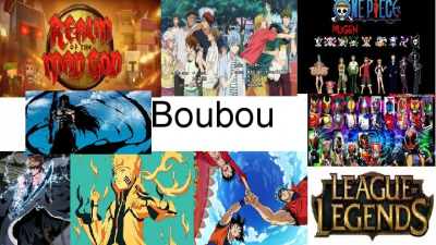 Boubou’s Presentation (1)