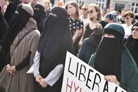 [Photo source](https://time.com/5356136/denmark-burqa-ban-protest/)