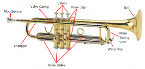 Trumpet-Anatomy1