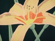 alex-katz-lily-flower-painting